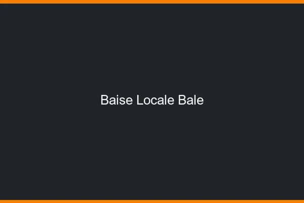 Baise Locale Bâle