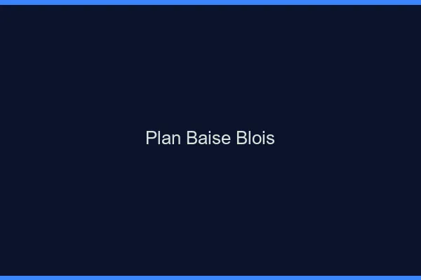 Plan Baise Blois