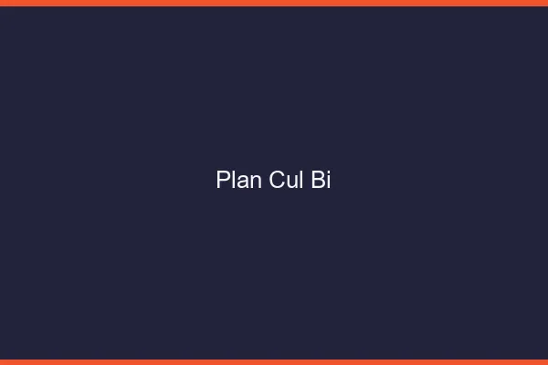 Plan Cul Bi