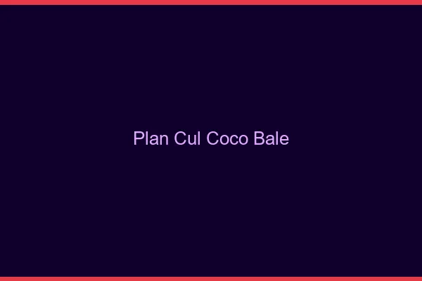 Plan Cul Coco Bâle