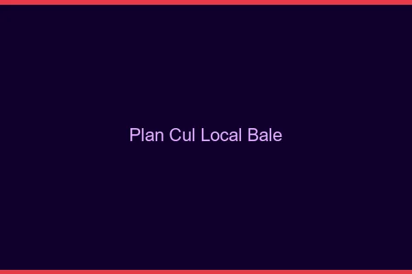 Plan Cul Local Bâle