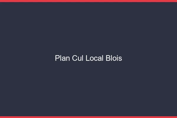 Plan Cul Local Blois
