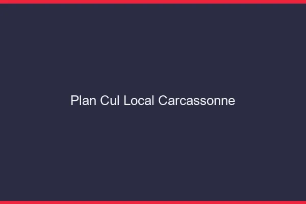 Plan Cul Local Carcassonne