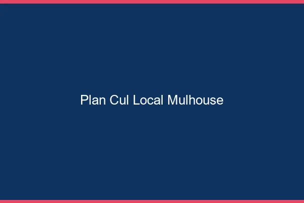 Plan Cul Local Mulhouse
