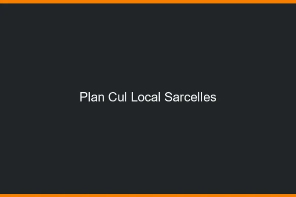 Plan Cul Local Sarcelles