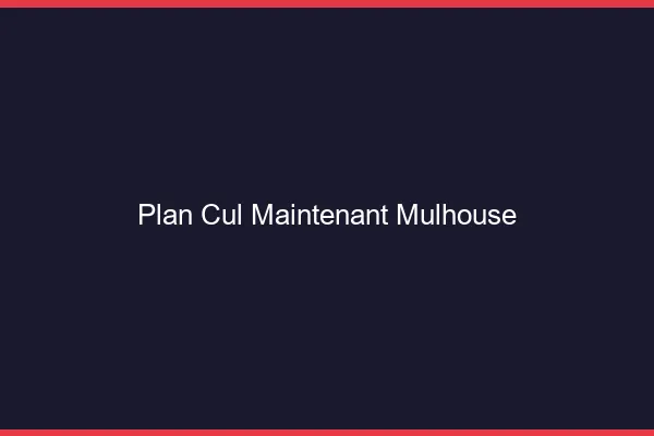 Plan Cul Maintenant Mulhouse