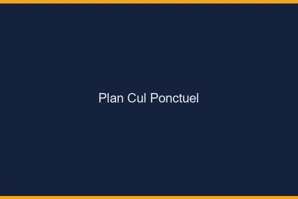 Plan Cul Ponctuel