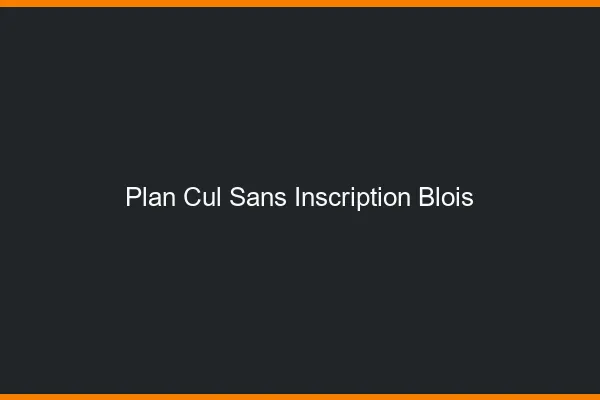 Plan Cul Sans Inscription Blois