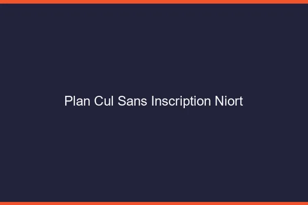 Plan Cul Sans Inscription Niort