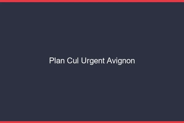 Plan Cul Urgent Avignon