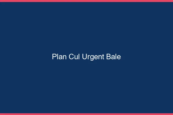 Plan Cul Urgent Bâle