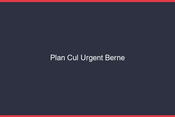 Plan Cul Urgent Berne