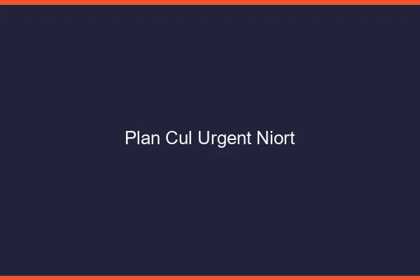 Plan Cul Urgent Niort