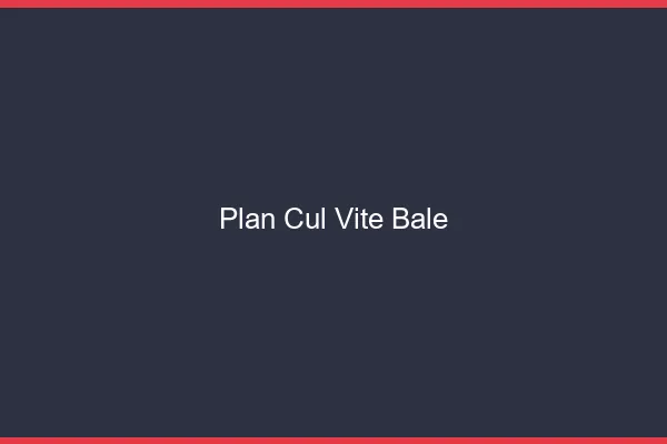 Plan Cul Vite Bâle