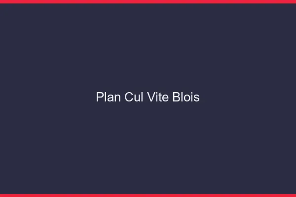 Plan Cul Vite Blois