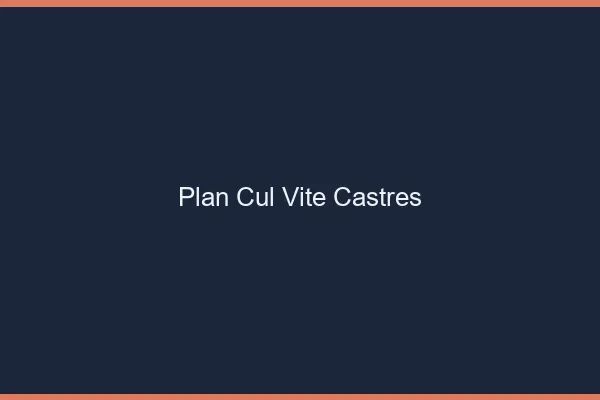 Plan Cul Vite Castres
