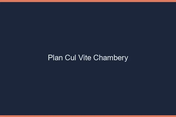 Plan Cul Vite Chambéry