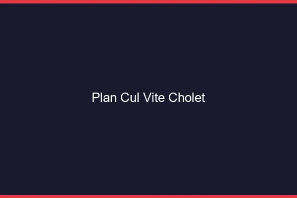Plan Cul Vite Cholet