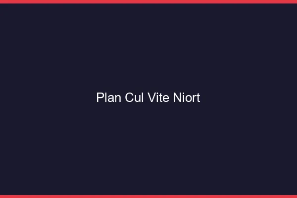 Plan Cul Vite Niort