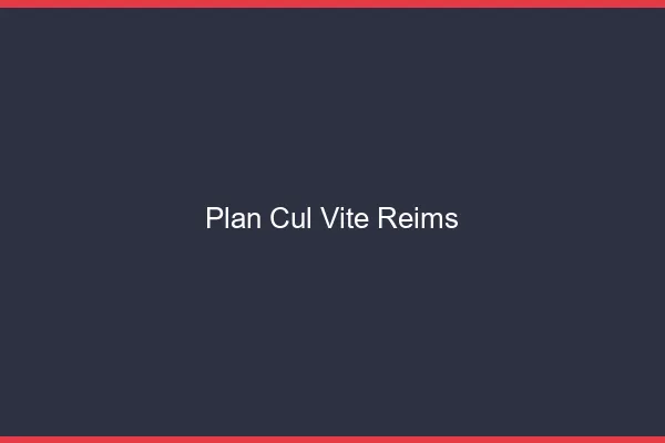 Plan Cul Vite Reims