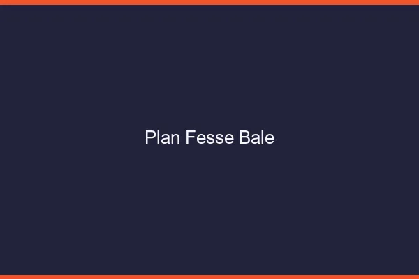 Plan FesseBâle