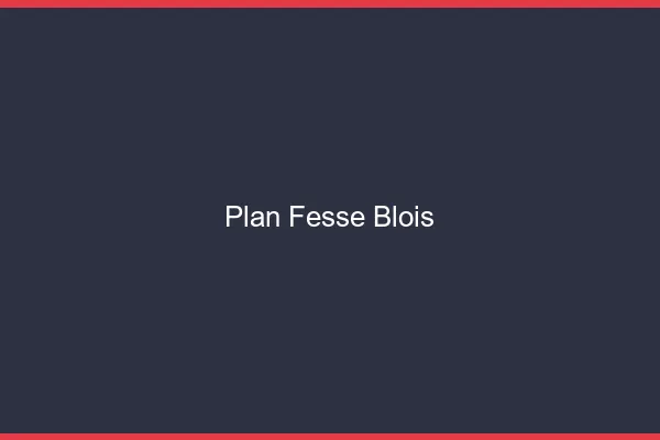 Plan FesseBlois