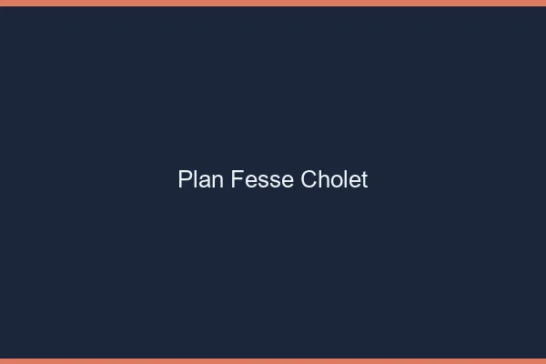 Plan FesseCholet
