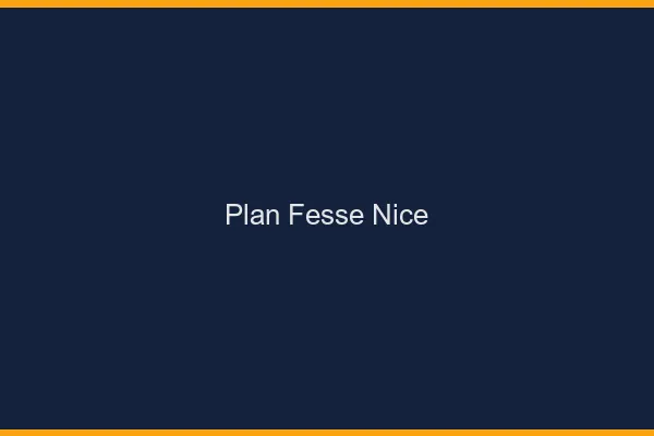 Plan FesseNice