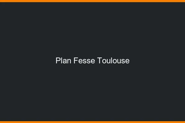 Plan FesseToulouse