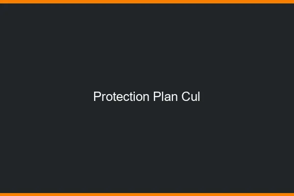 Protection Plan Cul